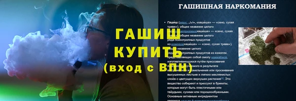 винт Ельня