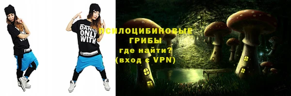 бутират Анива