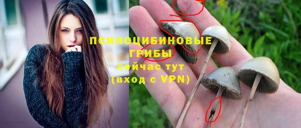 амф Михайловск