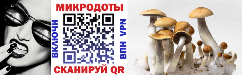 Псилоцибиновые грибы MAGIC MUSHROOMS  купить   Железногорск-Илимский 